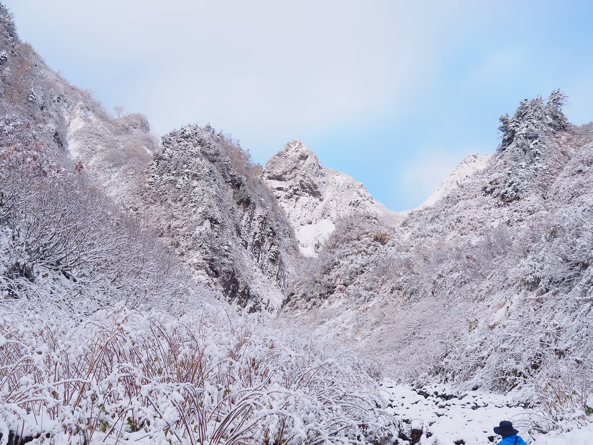 投稿写真：紅葉時期に雪を纏った荒菅沢