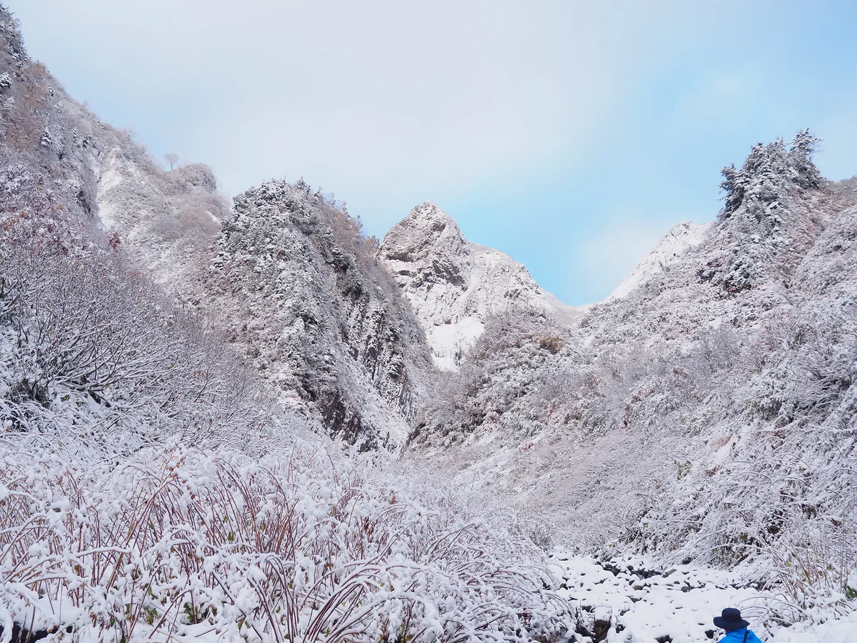 投稿写真：紅葉時期に雪を纏った荒菅沢