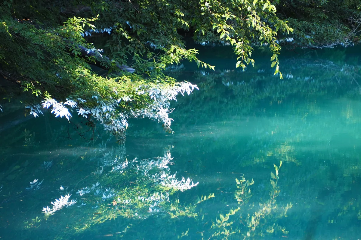 投稿写真：鏡花水月