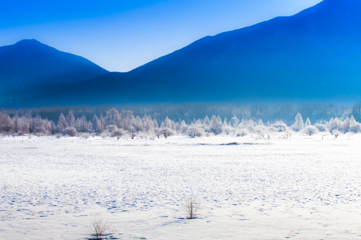 投稿写真：小田代ヶ原の霧氷