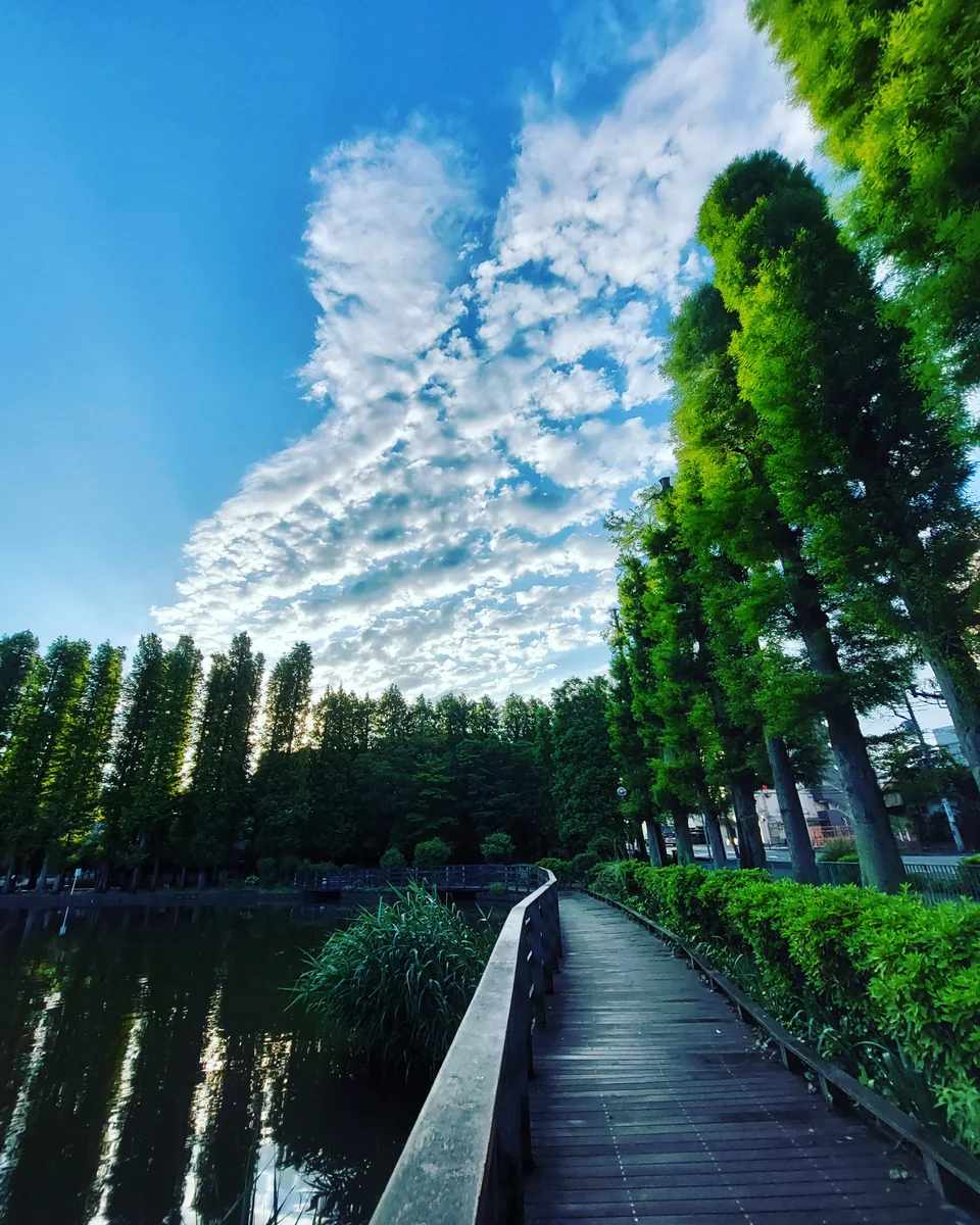 投稿写真：さ・ん・ぽ🎵～