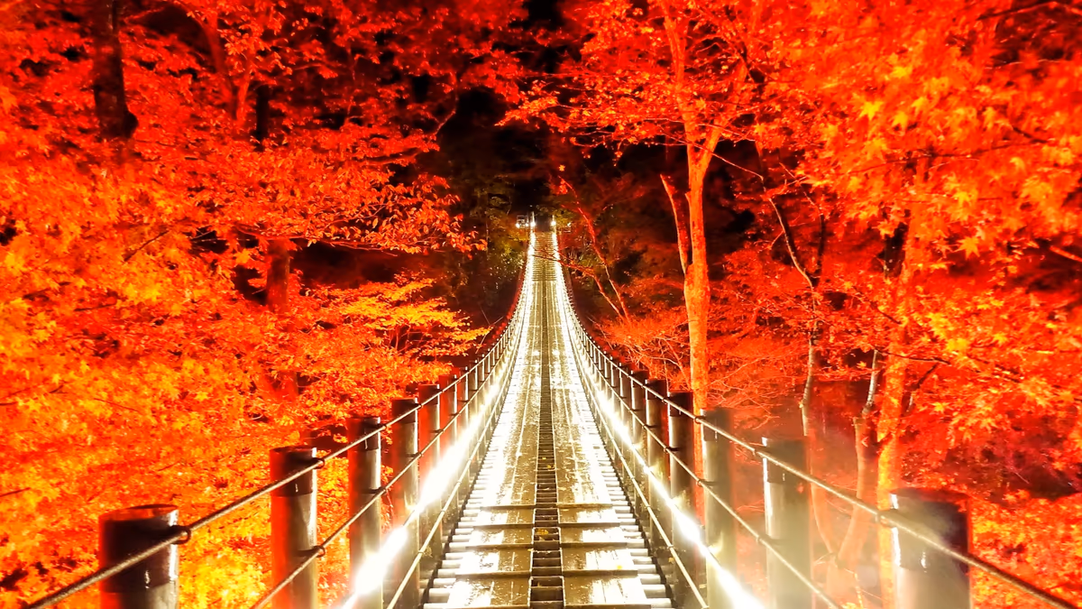 投稿写真：向こう岸は…