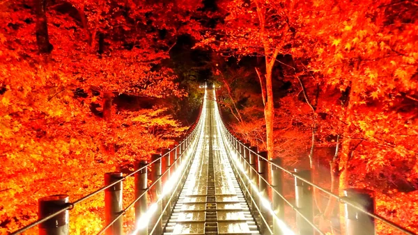 投稿：向こう岸は…