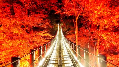  | 絶景事典