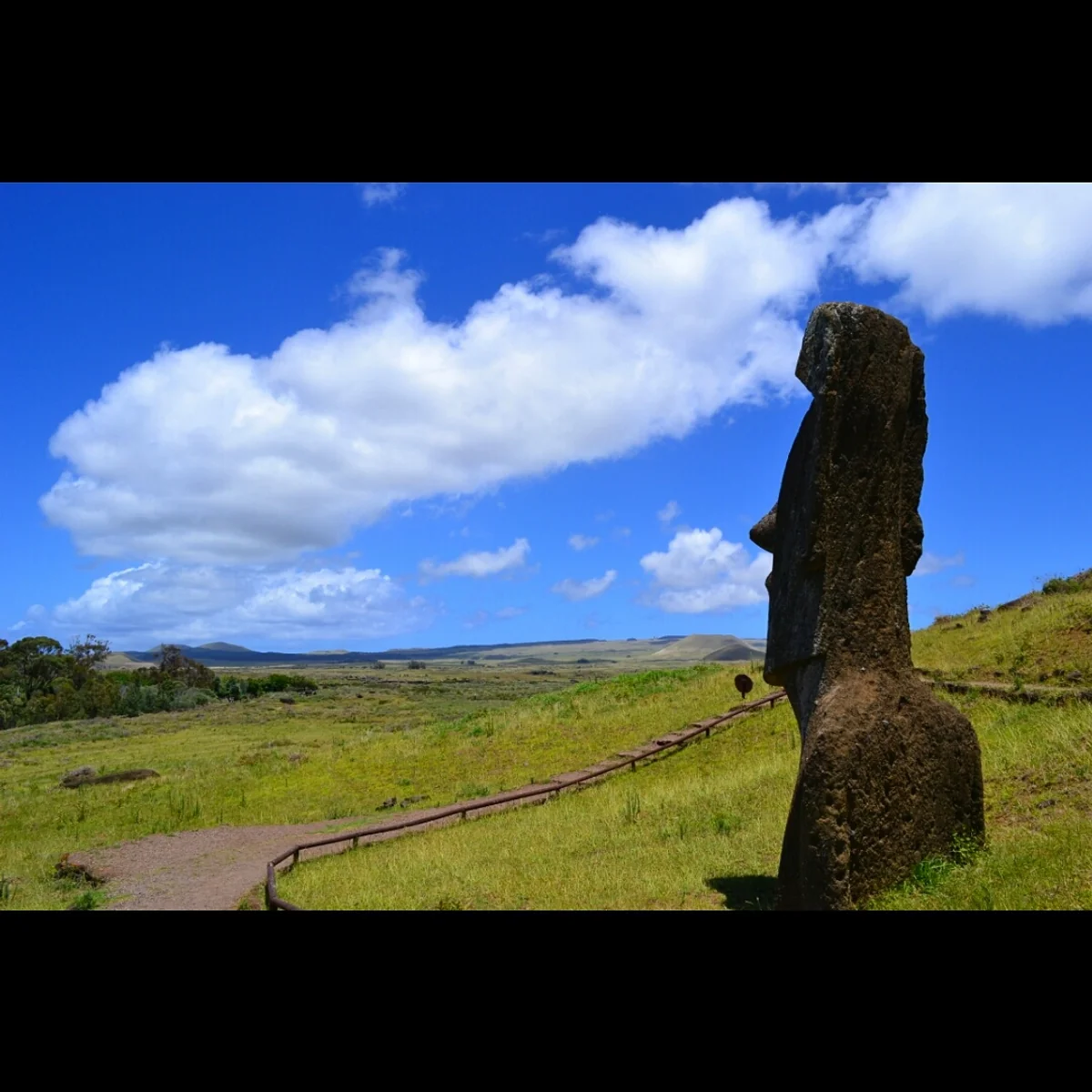 投稿写真：モアイの背中