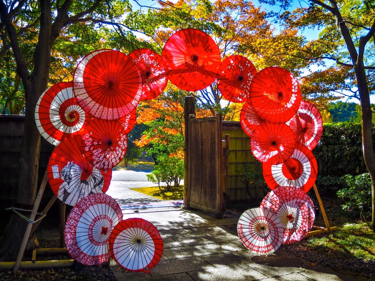 投稿写真：和傘ともみじの紅葉