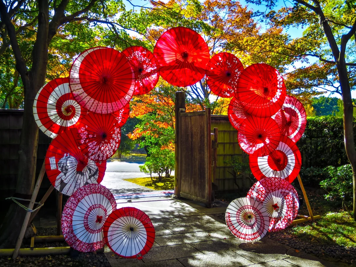 投稿写真：和傘ともみじの紅葉
