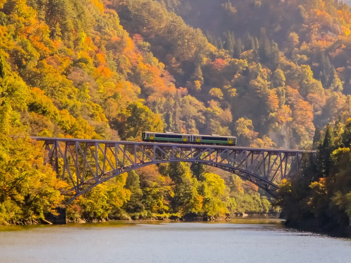 投稿写真：錦秋の只見川第１橋梁を渡る只見線