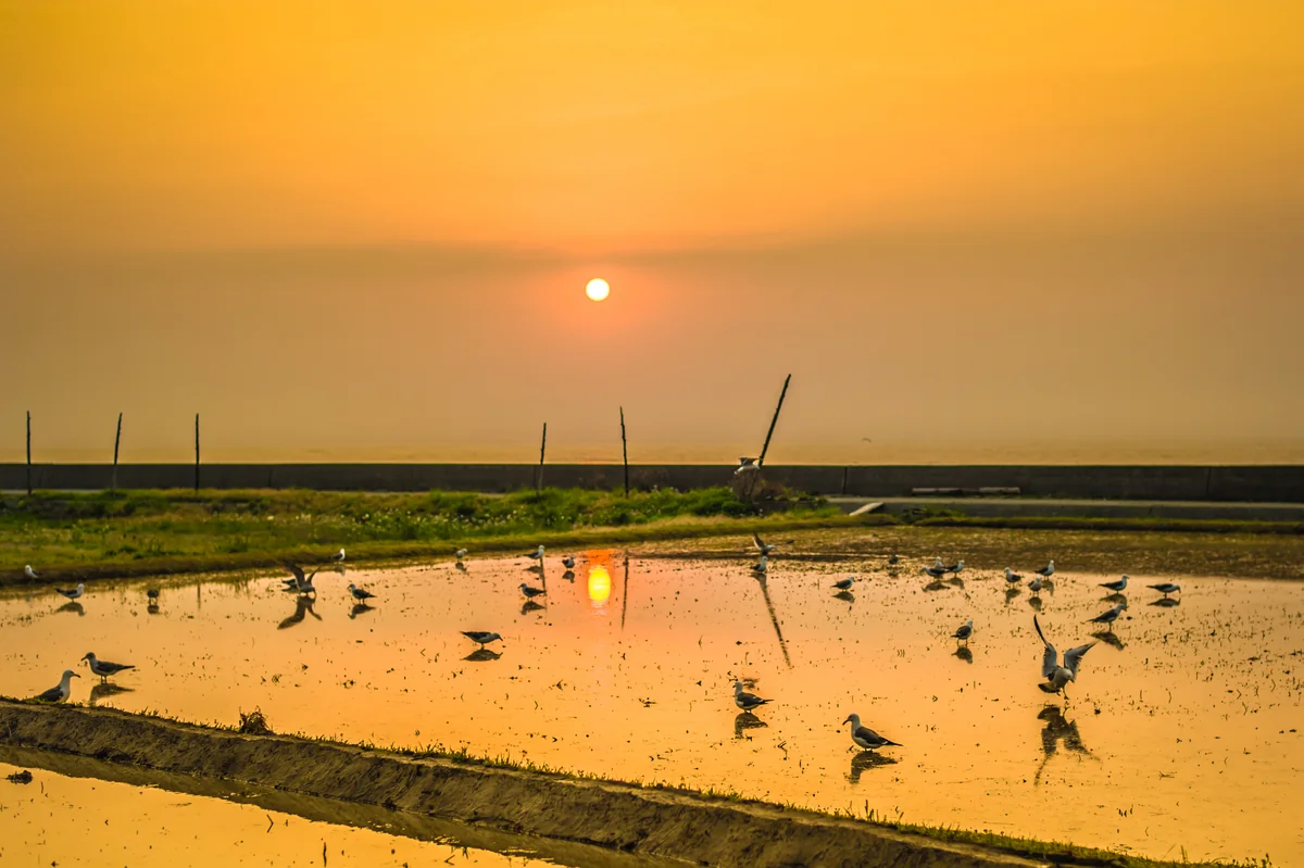投稿写真：いい湯だな