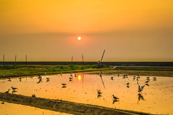 投稿：いい湯だな