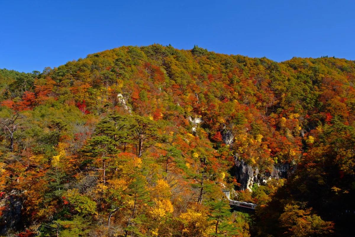 投稿写真：秋のアトリエ