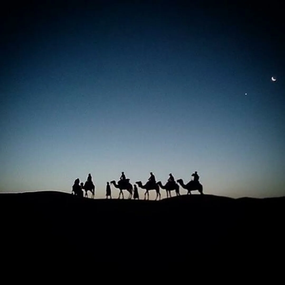 投稿写真：モロッコ サハラ砂漠と駱駝