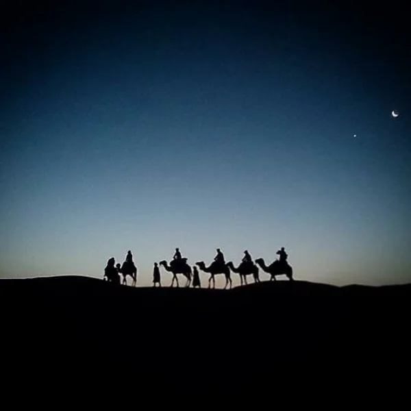 投稿：モロッコ サハラ砂漠と駱駝