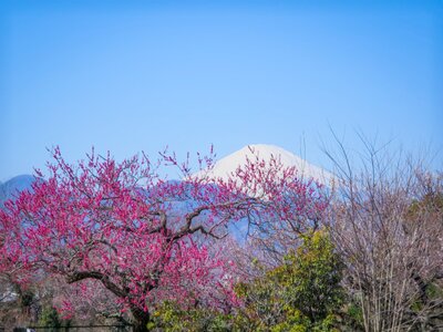 | 絶景事典