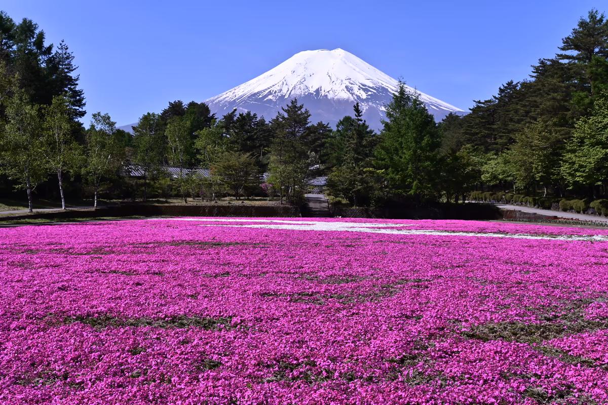 投稿写真：青空の下で