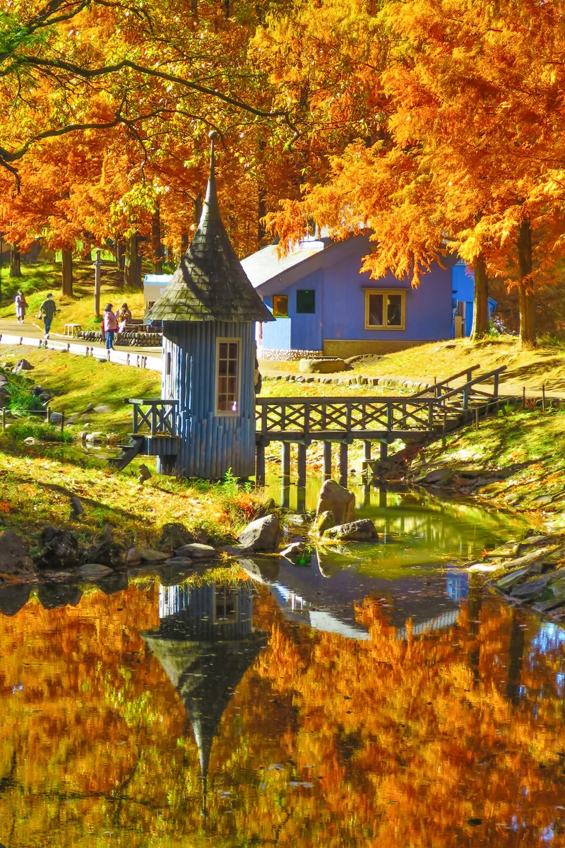 投稿写真：おとぎの国の秋