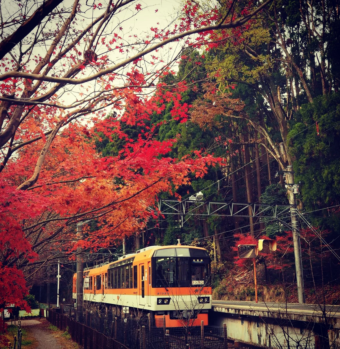 投稿写真：叡電鞍馬駅