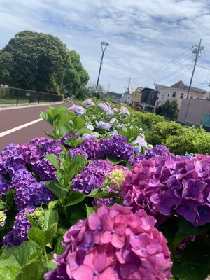  | 絶景事典
