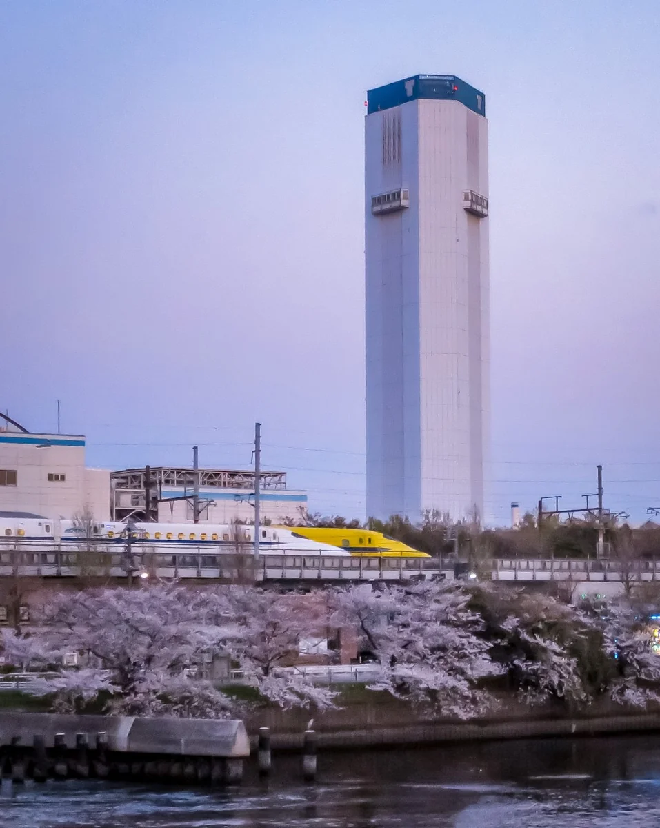 投稿写真：桜並木の上でドクターイエローと白い新幹線のすれ違い