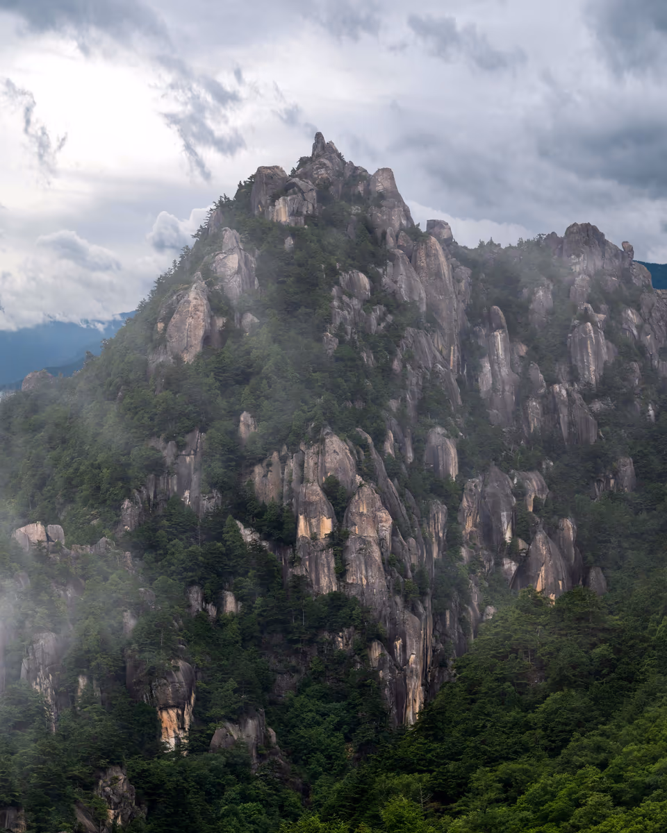 投稿写真：山の頂き