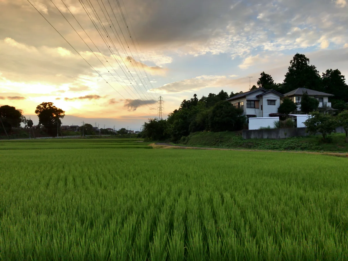 投稿写真：夏祭りで田舎に帰省中