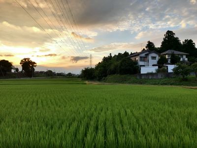  | 絶景事典