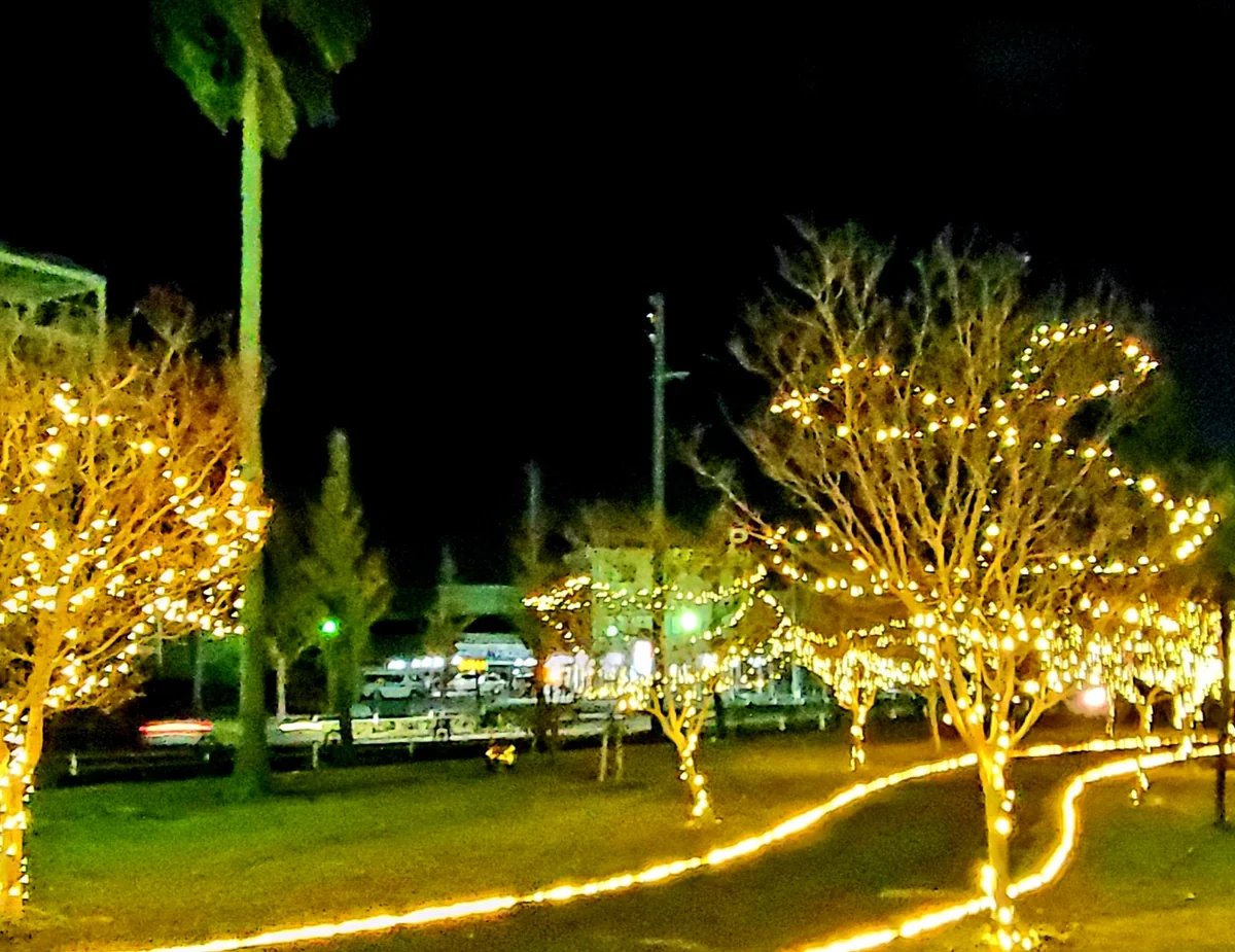 投稿写真：イルミネーション