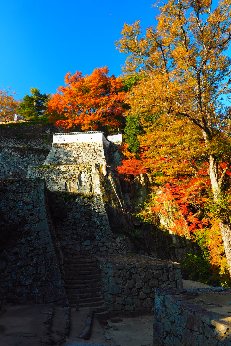 投稿写真：秋の備中松山城　高石垣