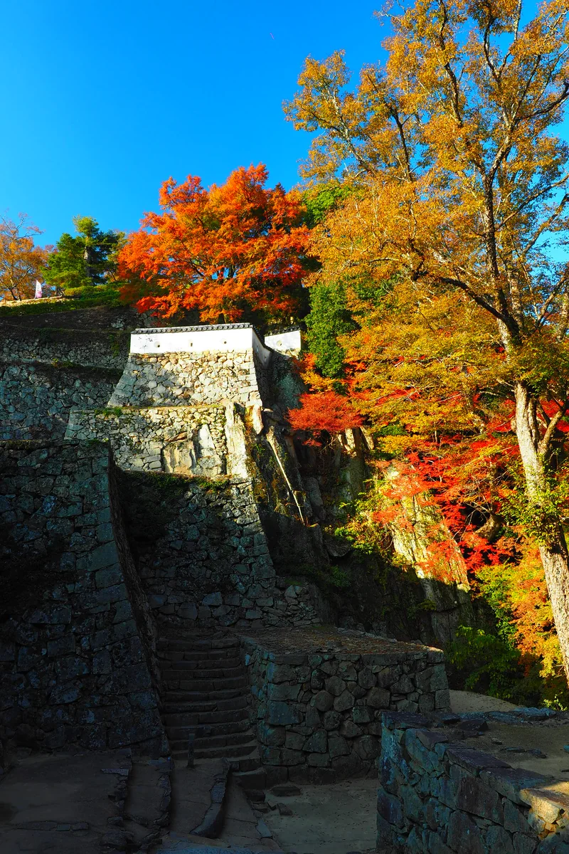 投稿写真：秋の備中松山城　高石垣