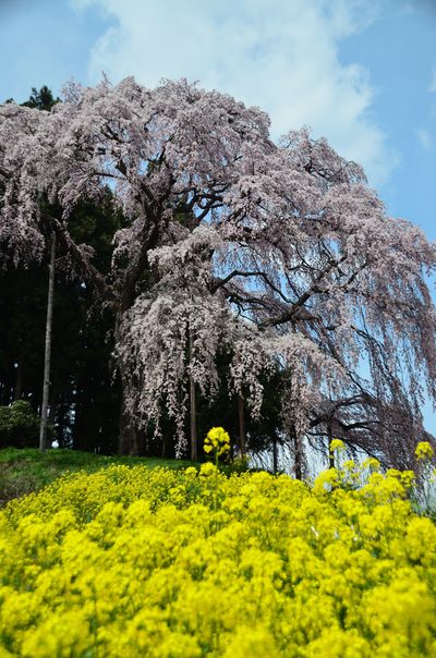  | 絶景事典