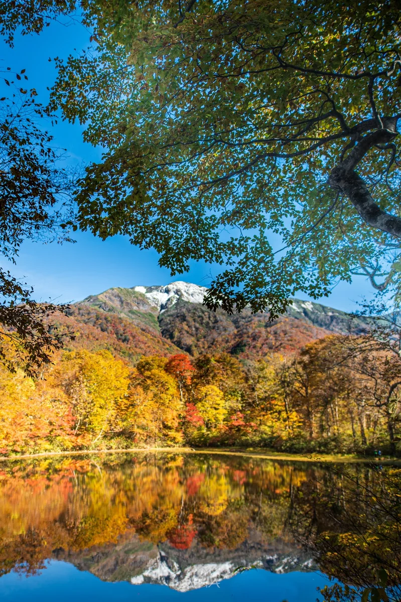 投稿写真：季節の移り変わり