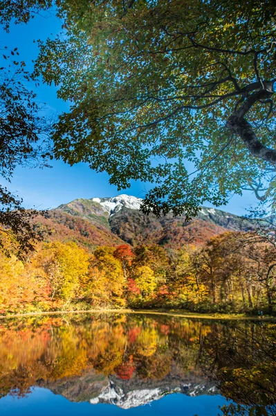 投稿：季節の移り変わり