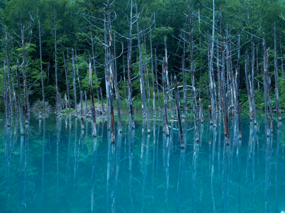 投稿写真：青い池