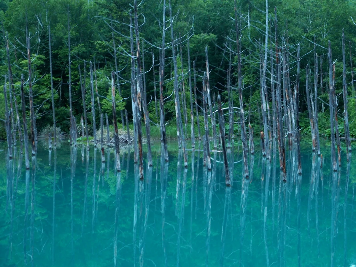 投稿写真：青い池