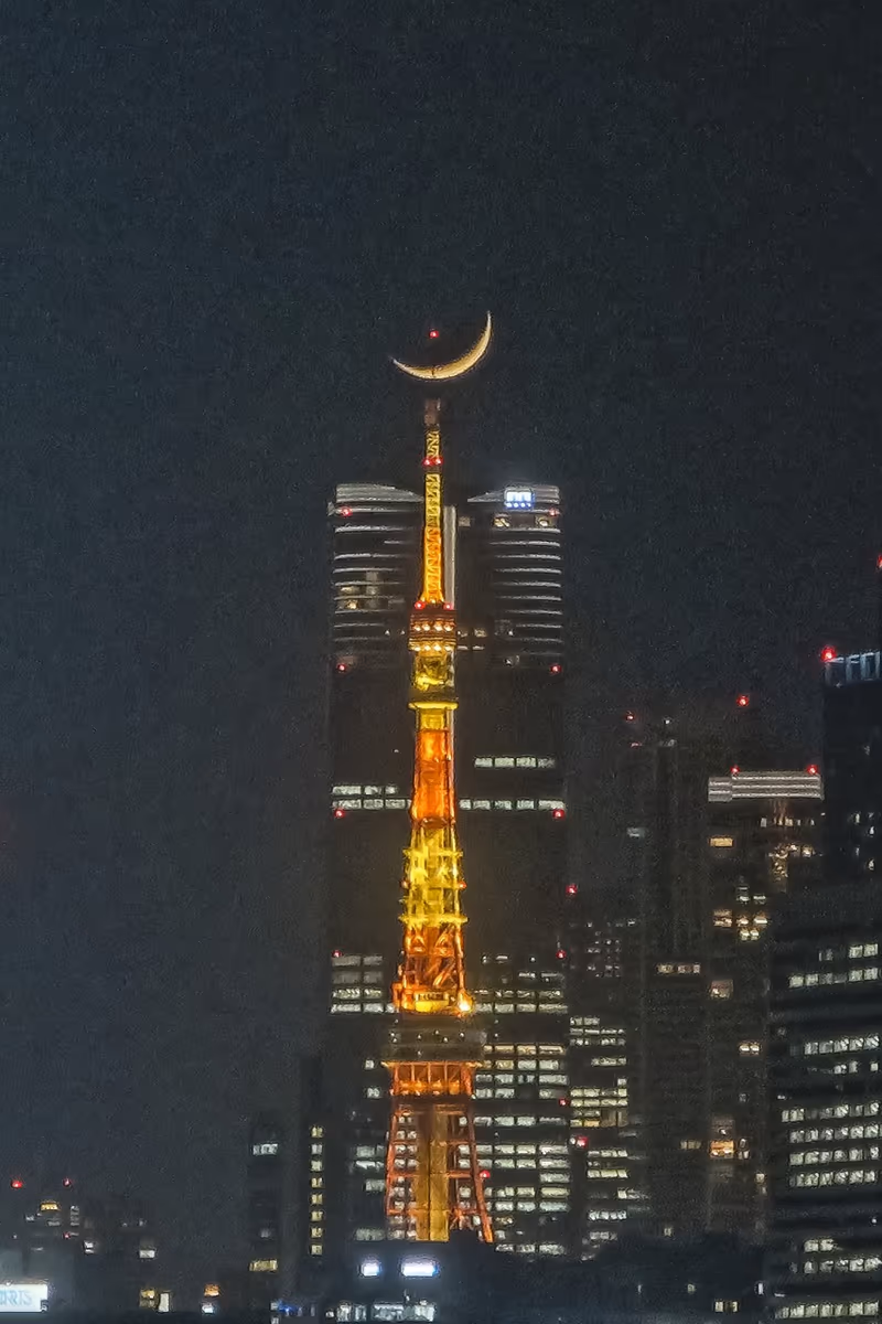 投稿写真：三日月パール東京タワー~東京タワー尖端に三日月の中心