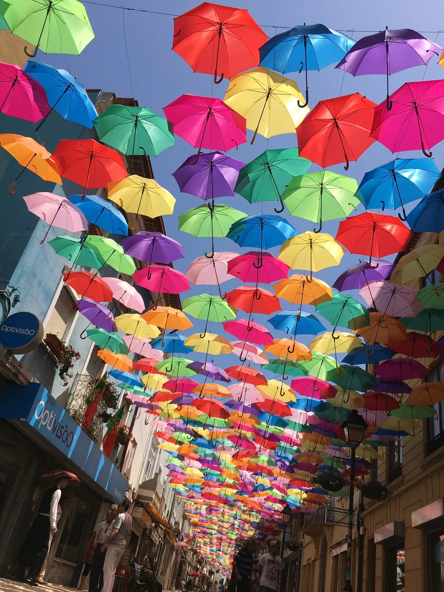 投稿写真：傘、傘、傘