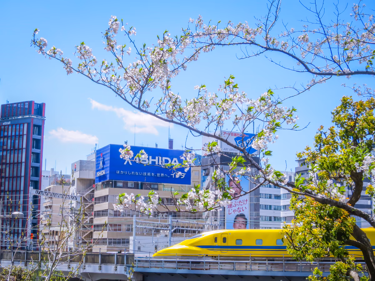 投稿写真：満開の桜とドクターイエロー③