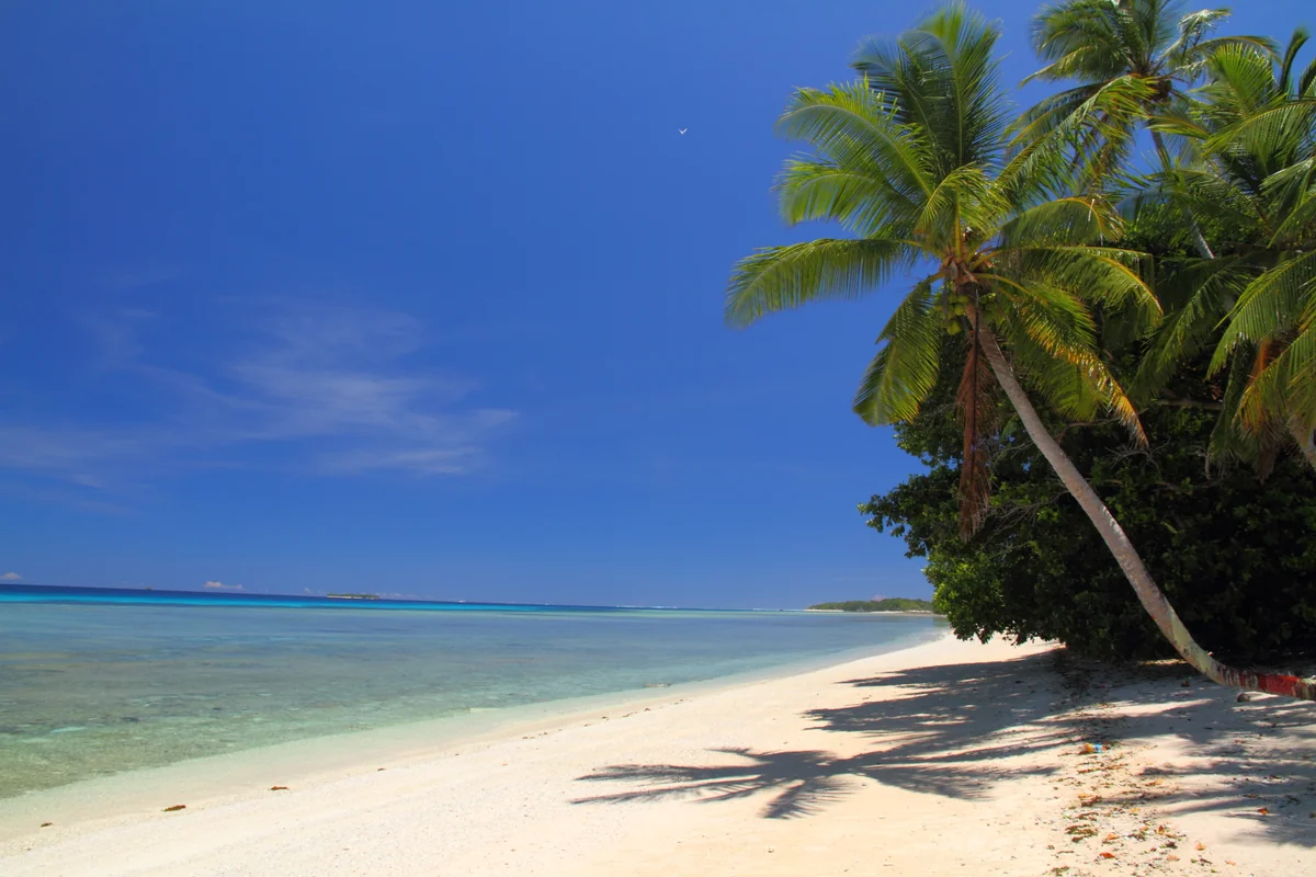 溝口 崇さんの投稿写真