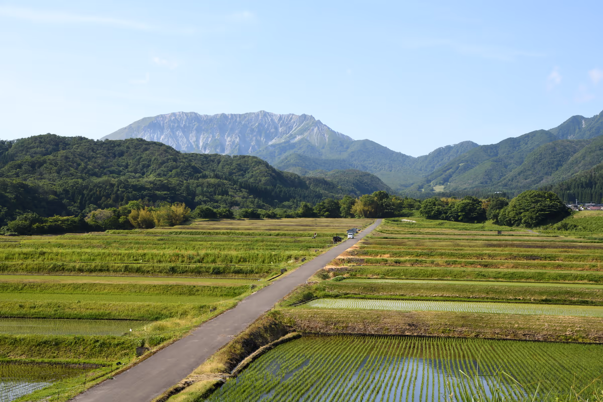 投稿写真：大山