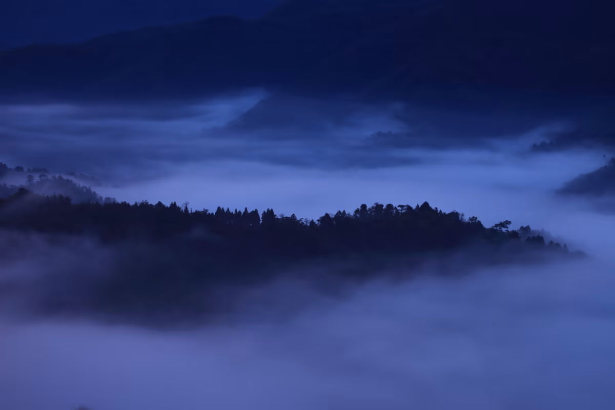 投稿写真：丹波霧