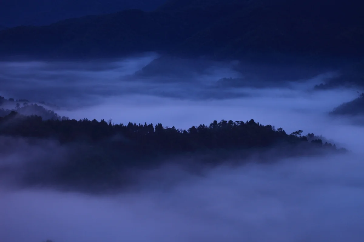 投稿写真：丹波霧