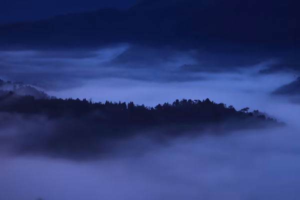 投稿：丹波霧