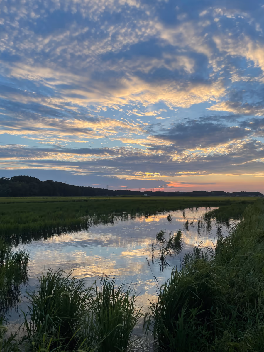 投稿写真：夕日の輝き