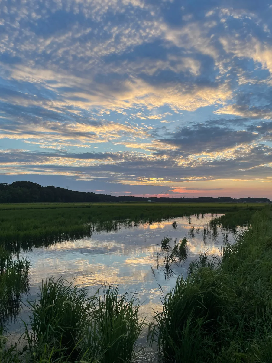 投稿写真：夕日の輝き