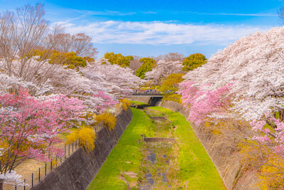  | 絶景事典