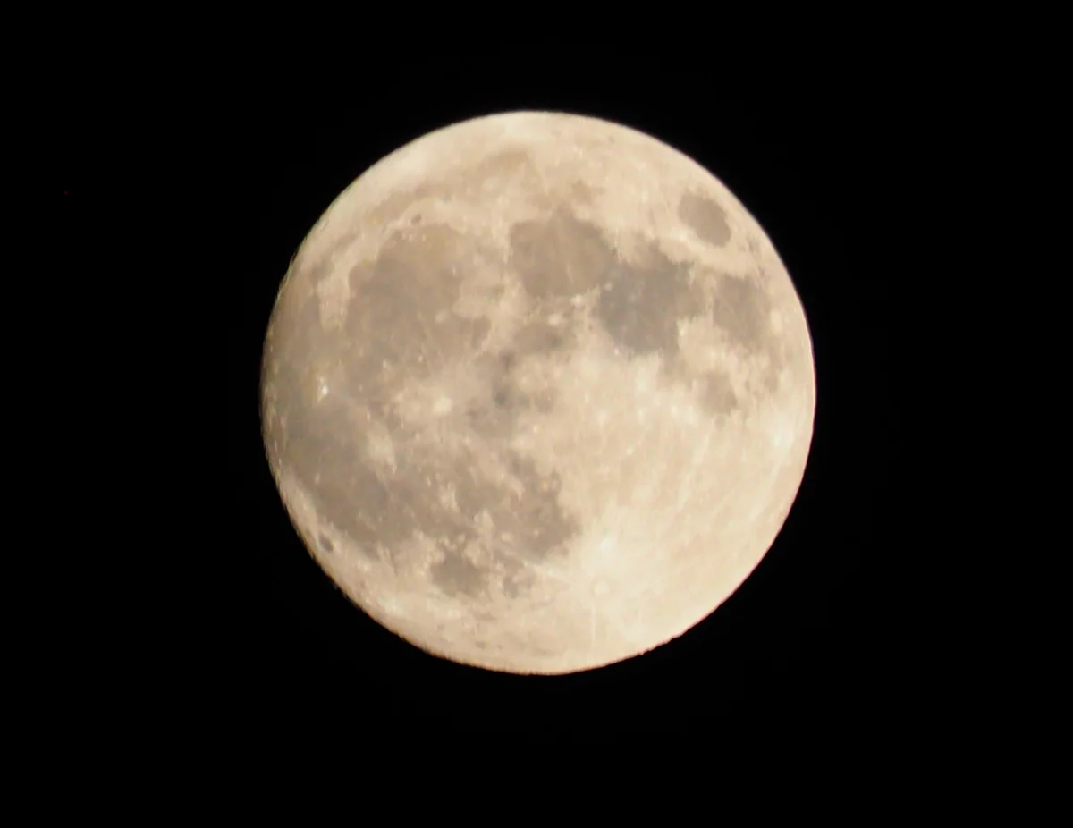 投稿写真：十五夜