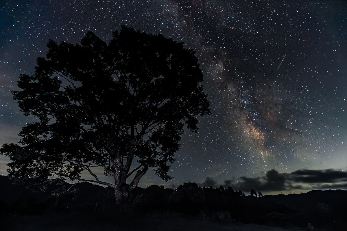 投稿写真：開田高原から夏の天の川