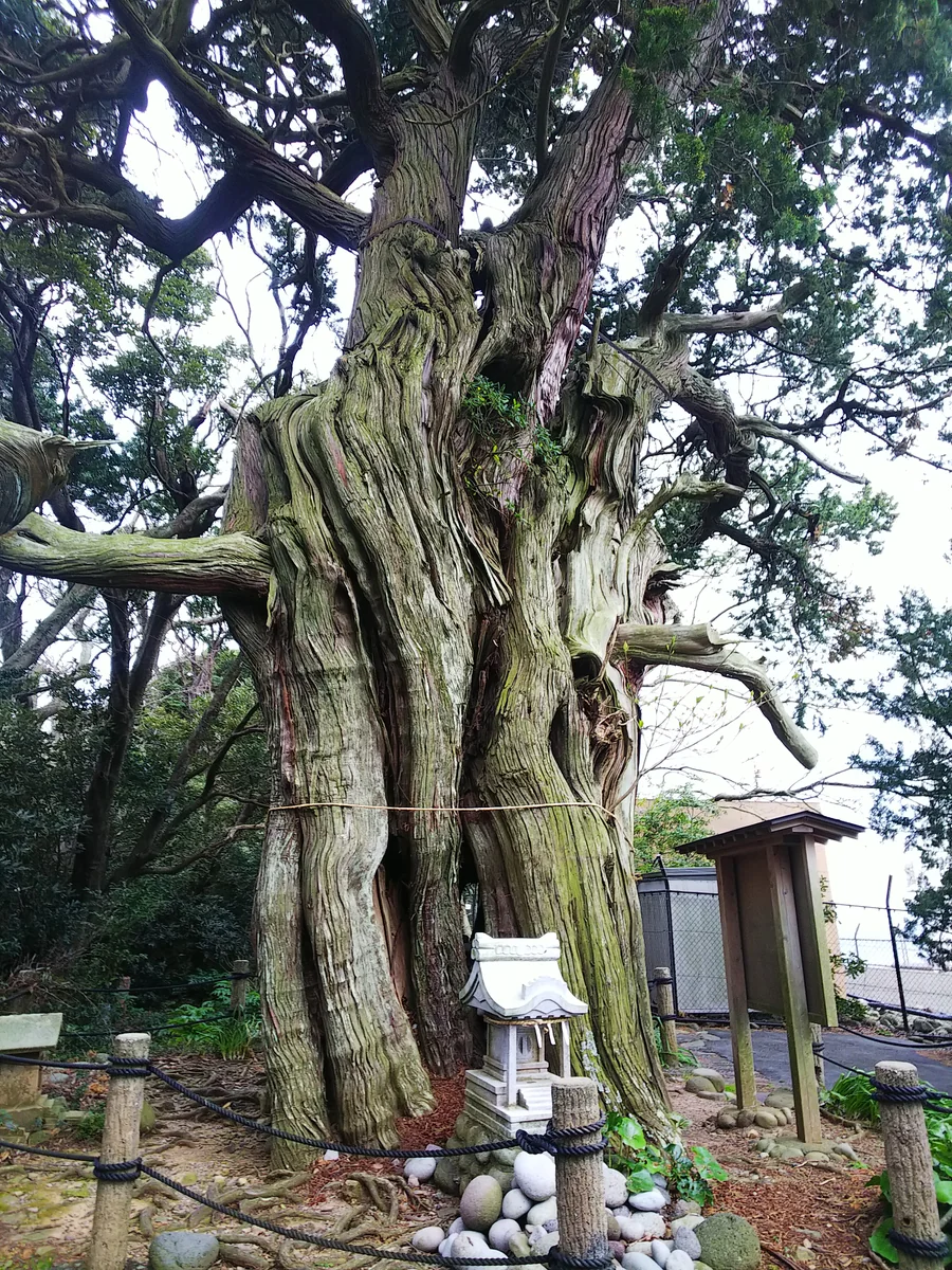 投稿写真：御神体