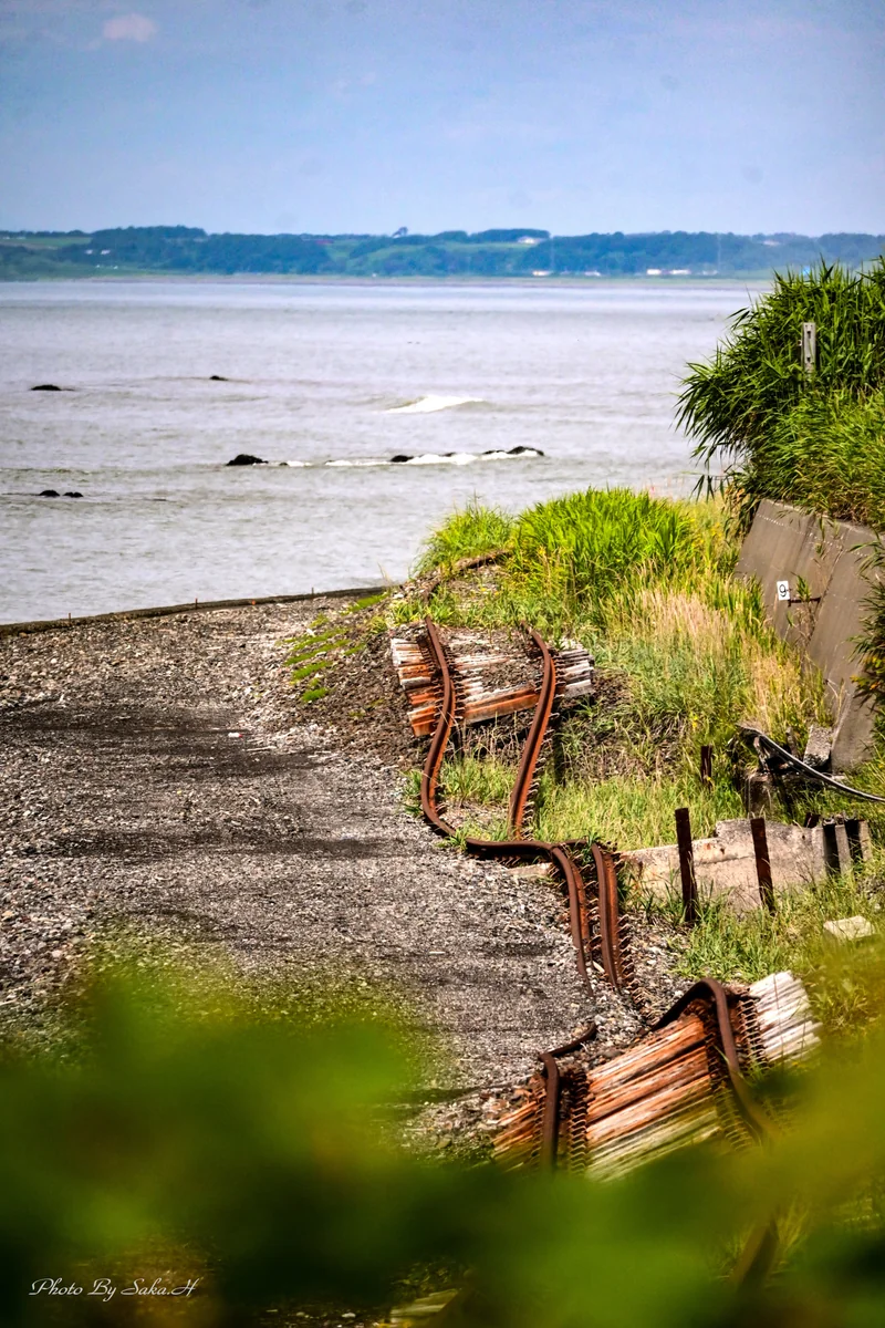 投稿写真：爪痕