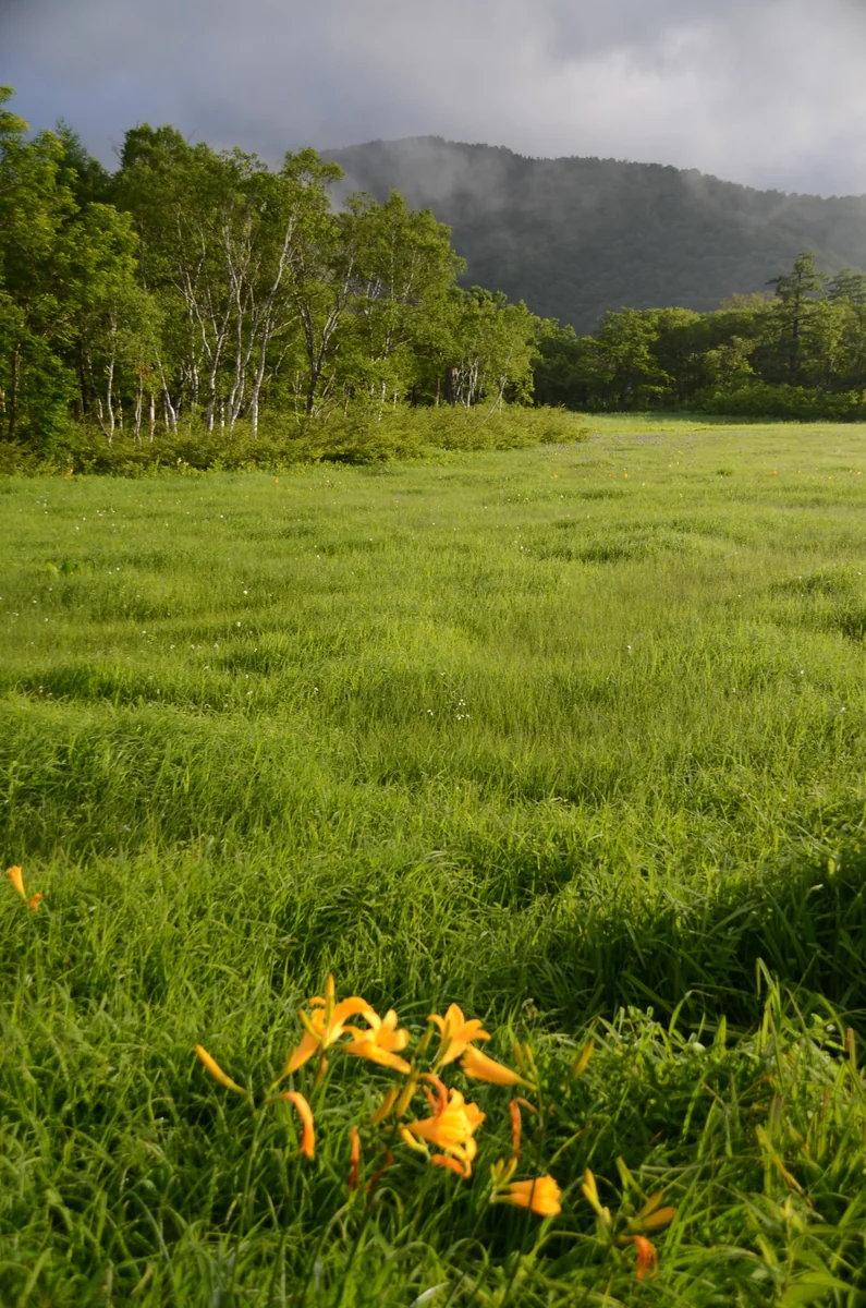 投稿写真：尾瀬ヶ原　朝日を浴びて